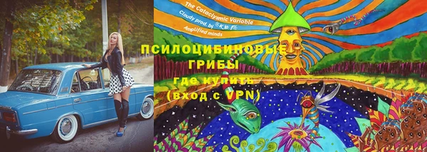 СК Аркадак