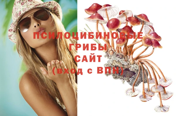 СК Аркадак