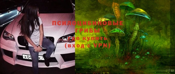 прущий лед Армянск