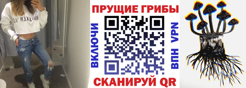 Галлюциногенные грибы мицелий где можно купить Ярцево
