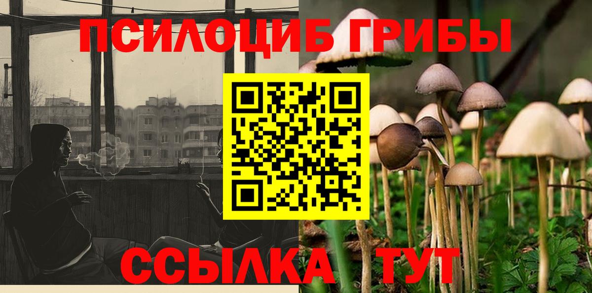 Ярцево  Псилоцибиновые грибы MAGIC MUSHROOMS  Вход с VPN 