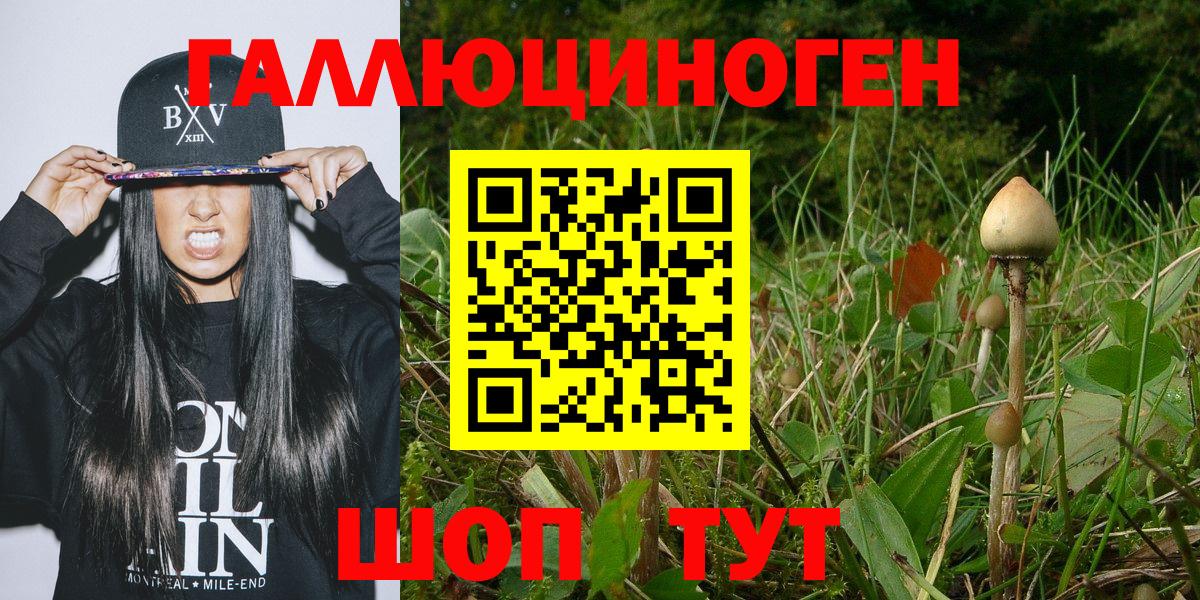 Псилоцибиновые грибы мухоморы Ярцево